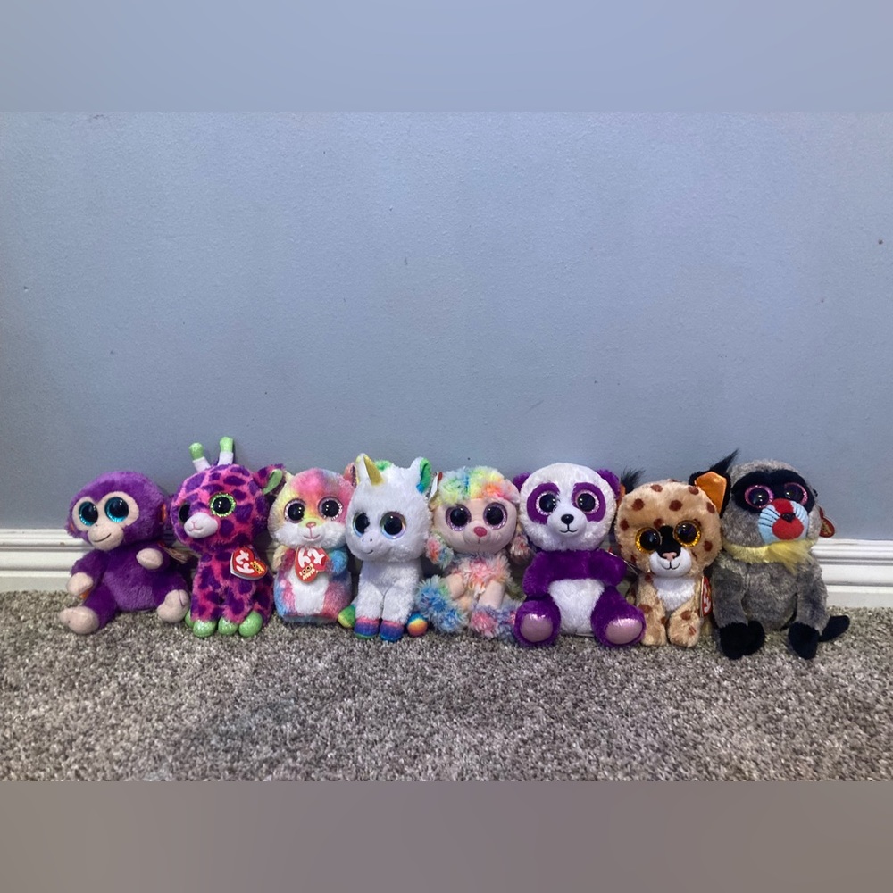 Beanie Boo set